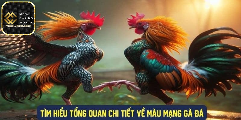 Màu mạng gà đá được hiểu là gì?